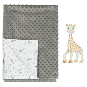 Giraffe Baby Teether & Blanket Set